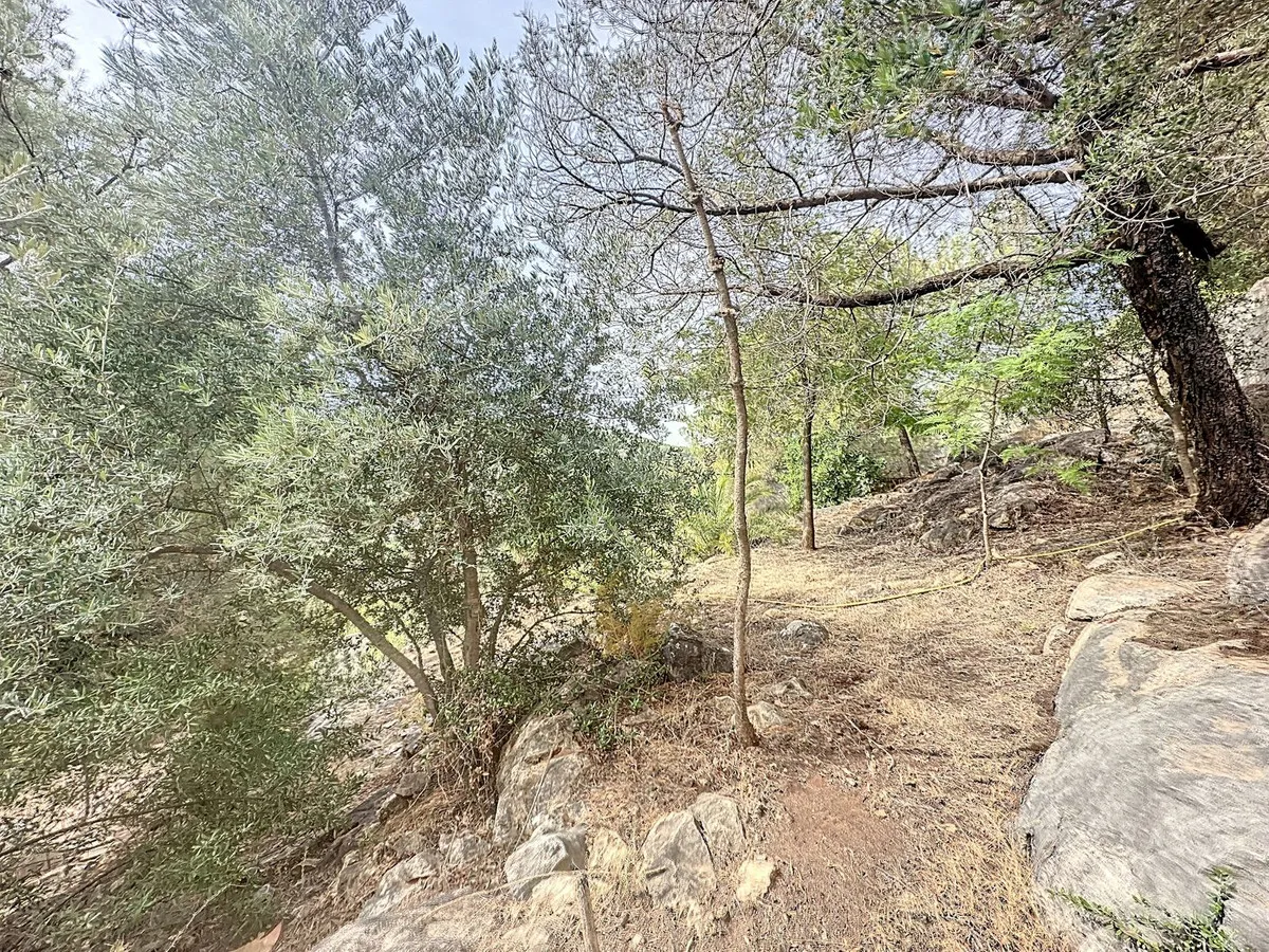 a1c68c02-5ac3-4424-ae18-2cf7844574a6