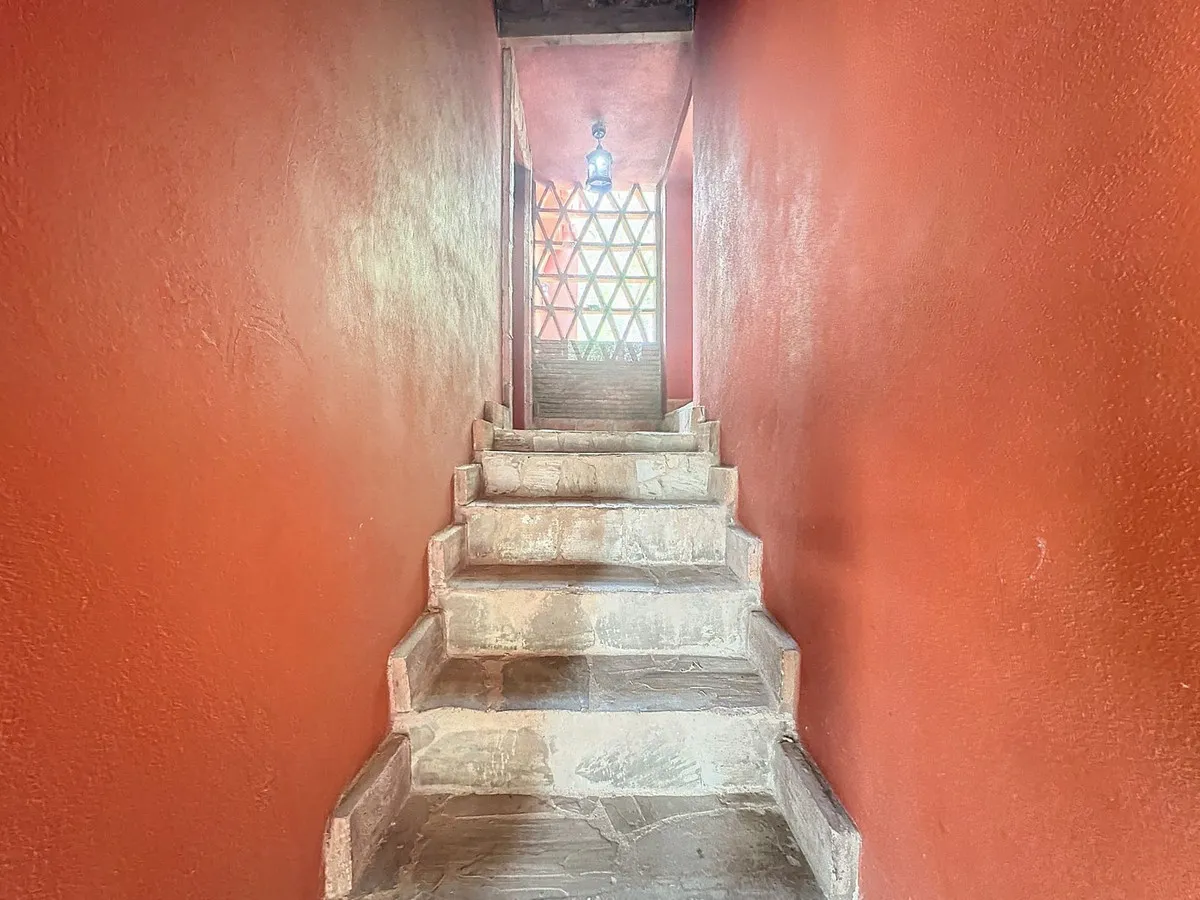 d67d7ada-1021-4417-87ce-77cdbebd79e7