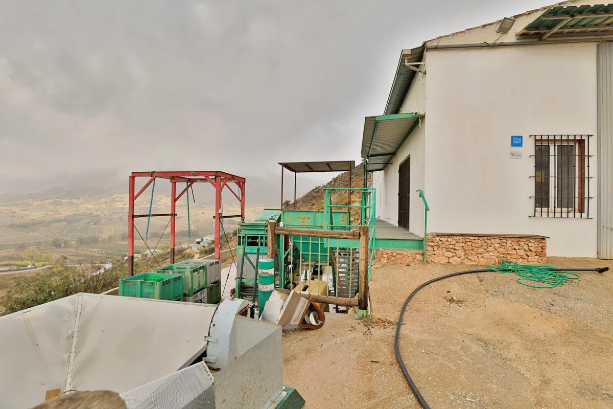 38084ff2-9de3-4fd4-83a4-cbfef7c5f356