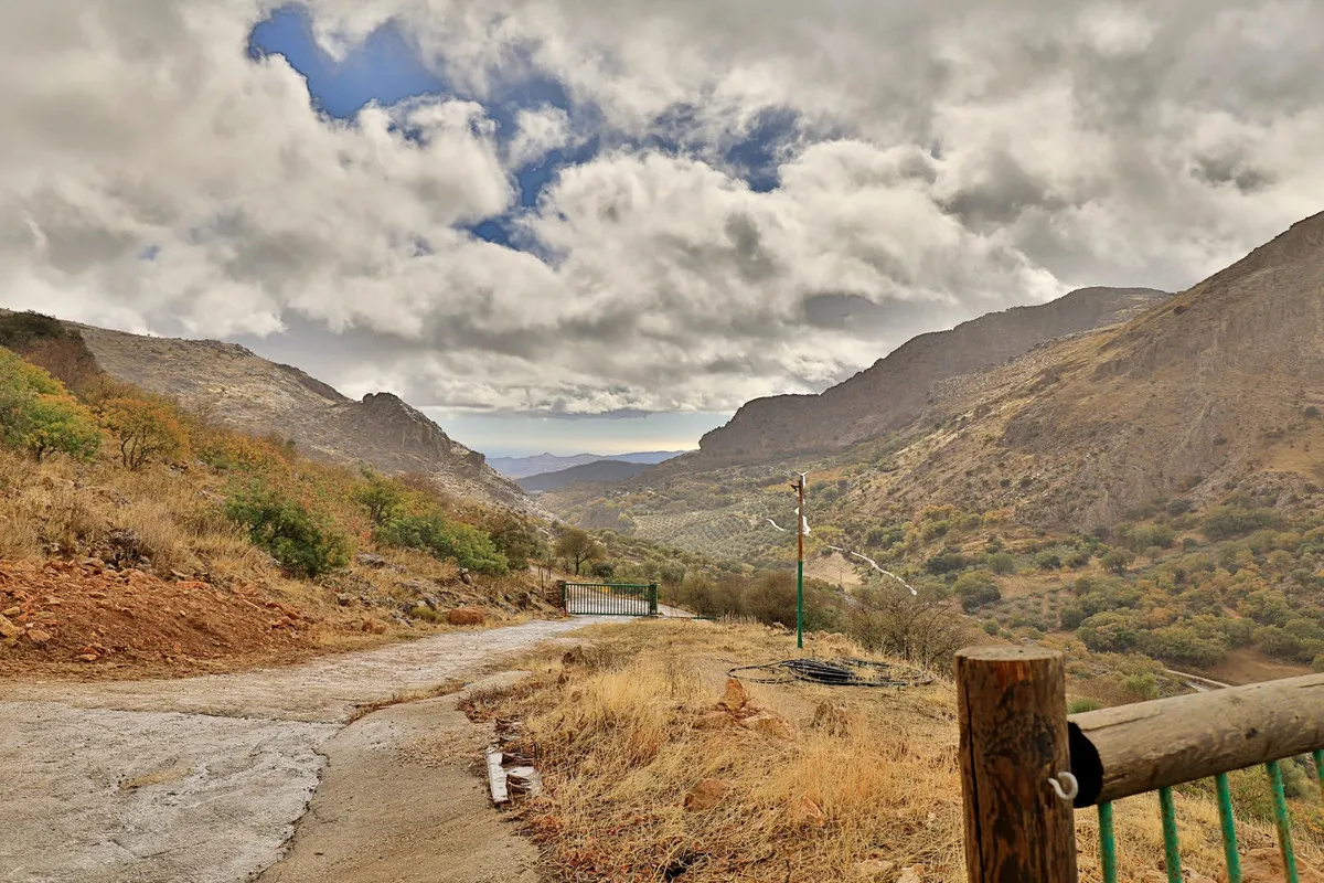 d92cc631-f9e8-429c-85f6-67eff4aa8055