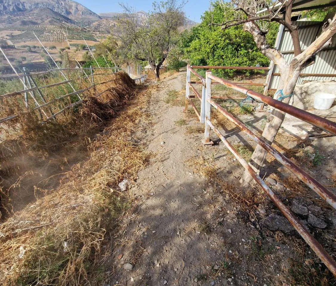 297a1610-12a8-4a9c-9a0a-033cad718f6d