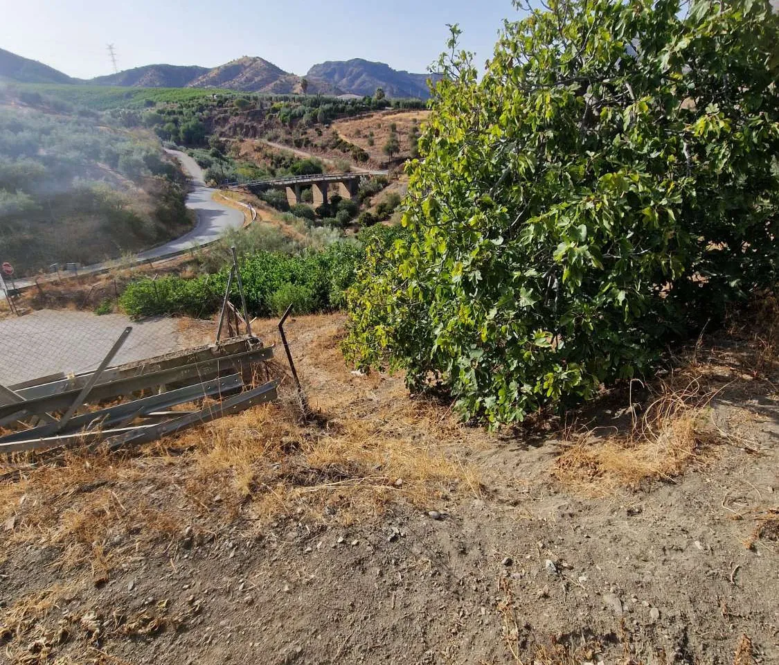 8999b37b-573c-418b-af35-fad83788cd75