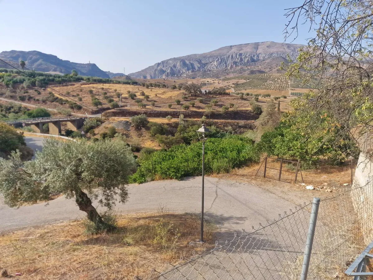 9ace2089-84dd-4b72-b24d-0e74edf150ab