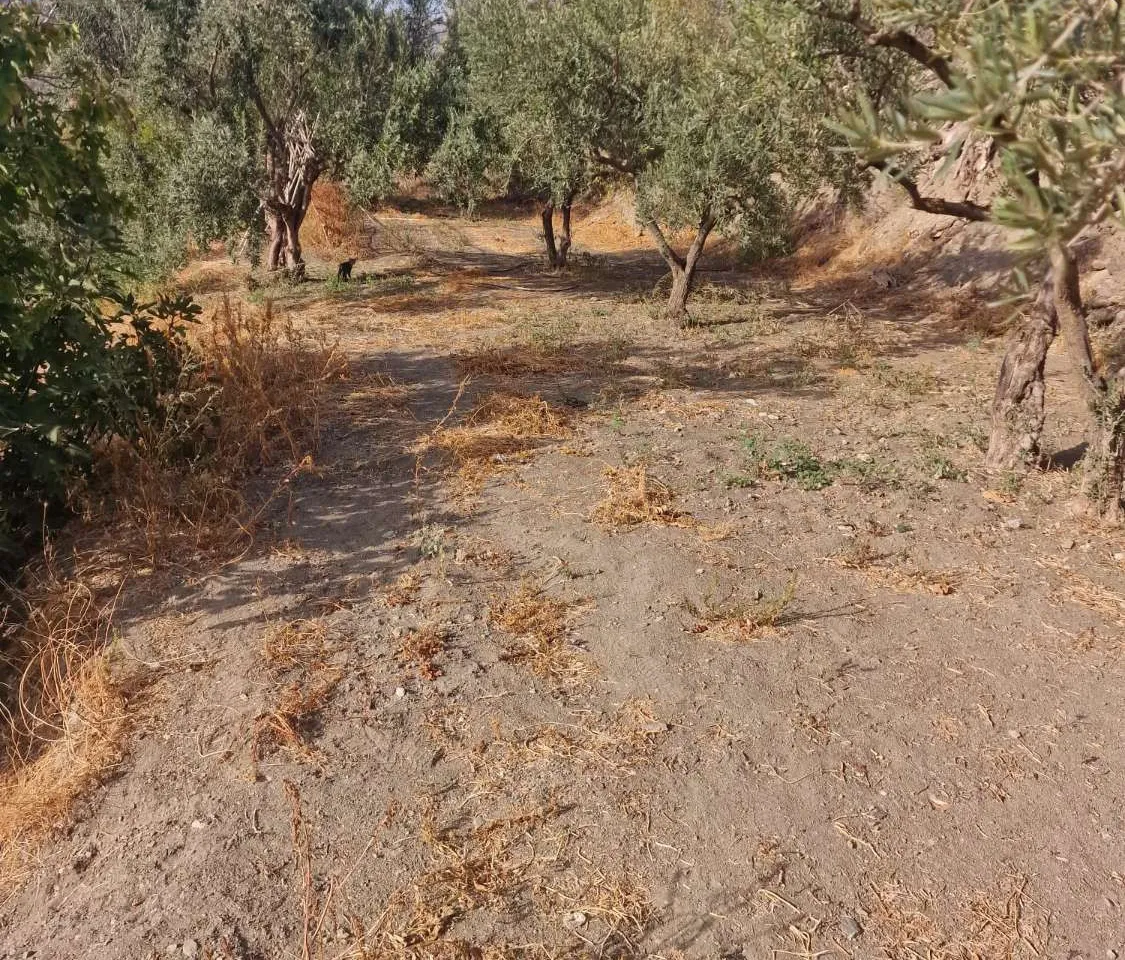 bb423f1a-a5bd-403f-9296-83a9dd948494