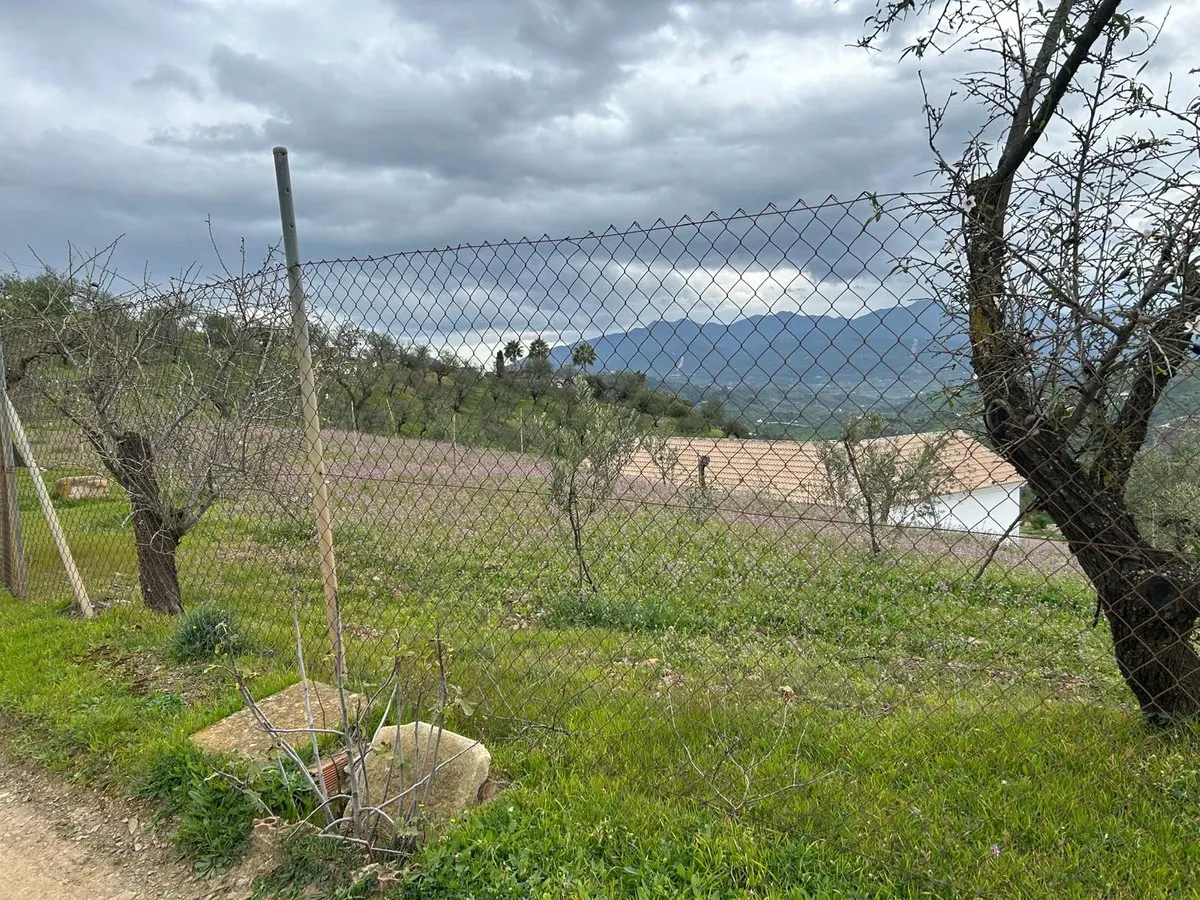 56818ce7-294a-4e2e-b911-39b1da7e3268