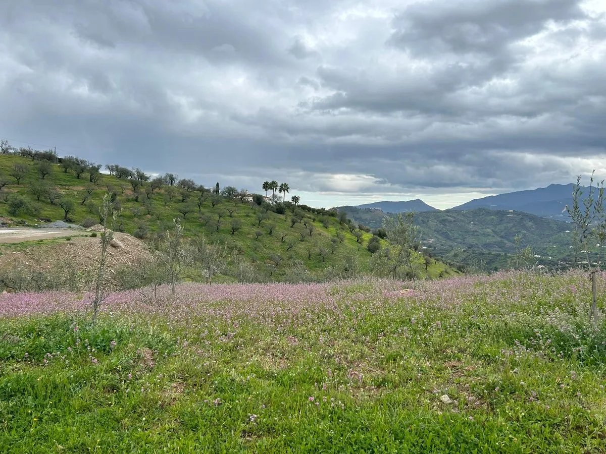 980bfd3c-3e8f-4ff6-b507-94d538e5a750