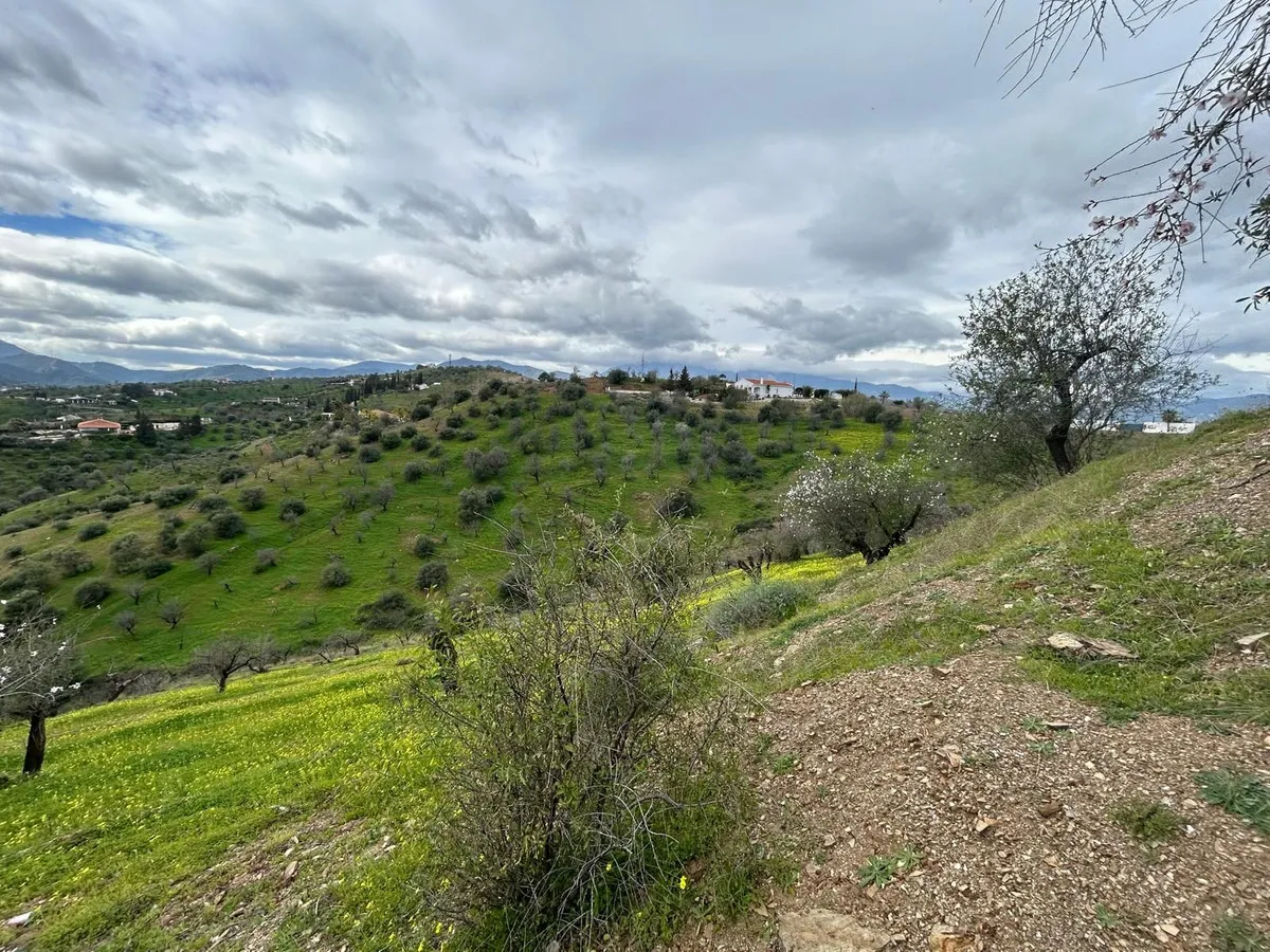 9b429274-ea28-4b73-b0e7-c8ea9a549a8e