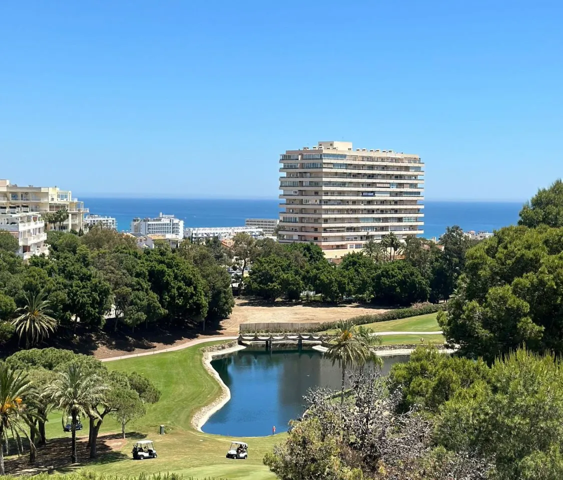 037f85a0-3a72-4ddf-bcb2-4ce4c22daba1