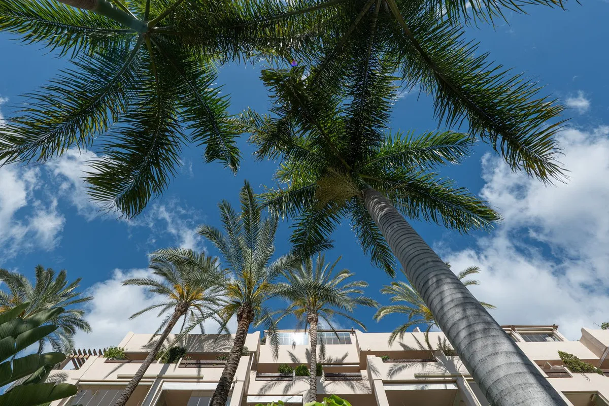 8a69712f-f745-4125-abb5-5dd60934de49