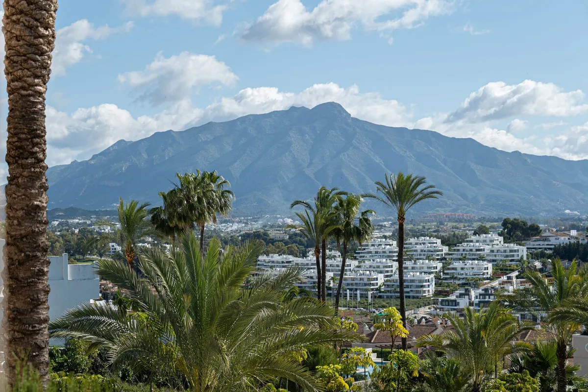 9085eb6e-d33f-4981-a592-d5e43caf7aff