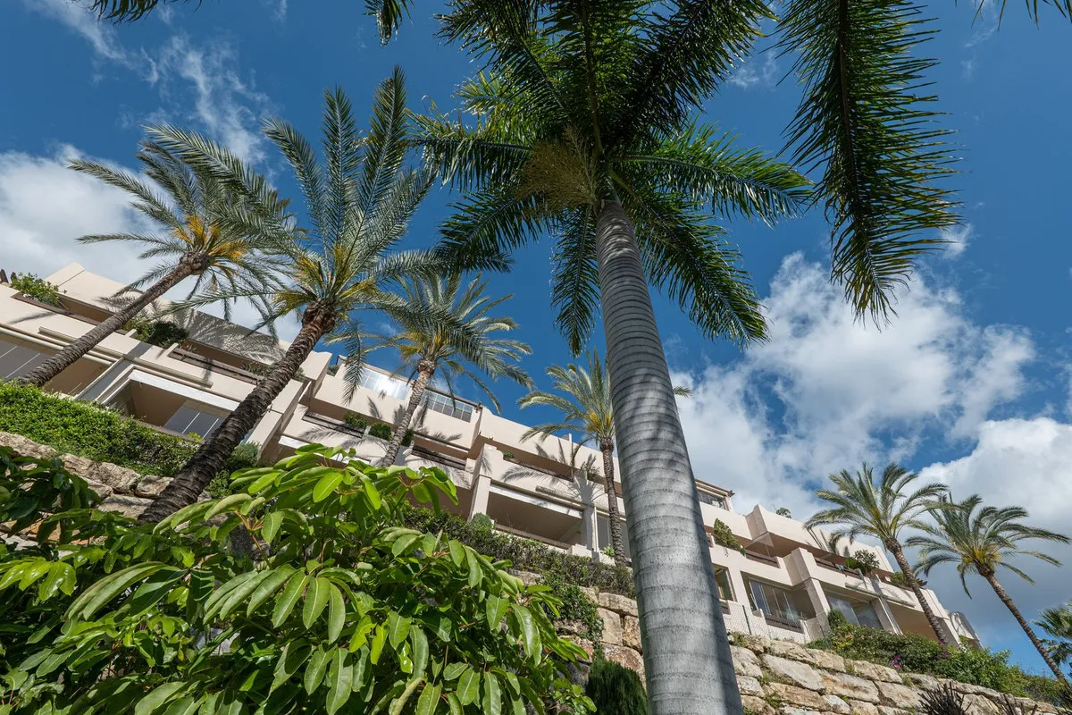 c294d86a-eb34-4b07-8761-9e91eddff6b2