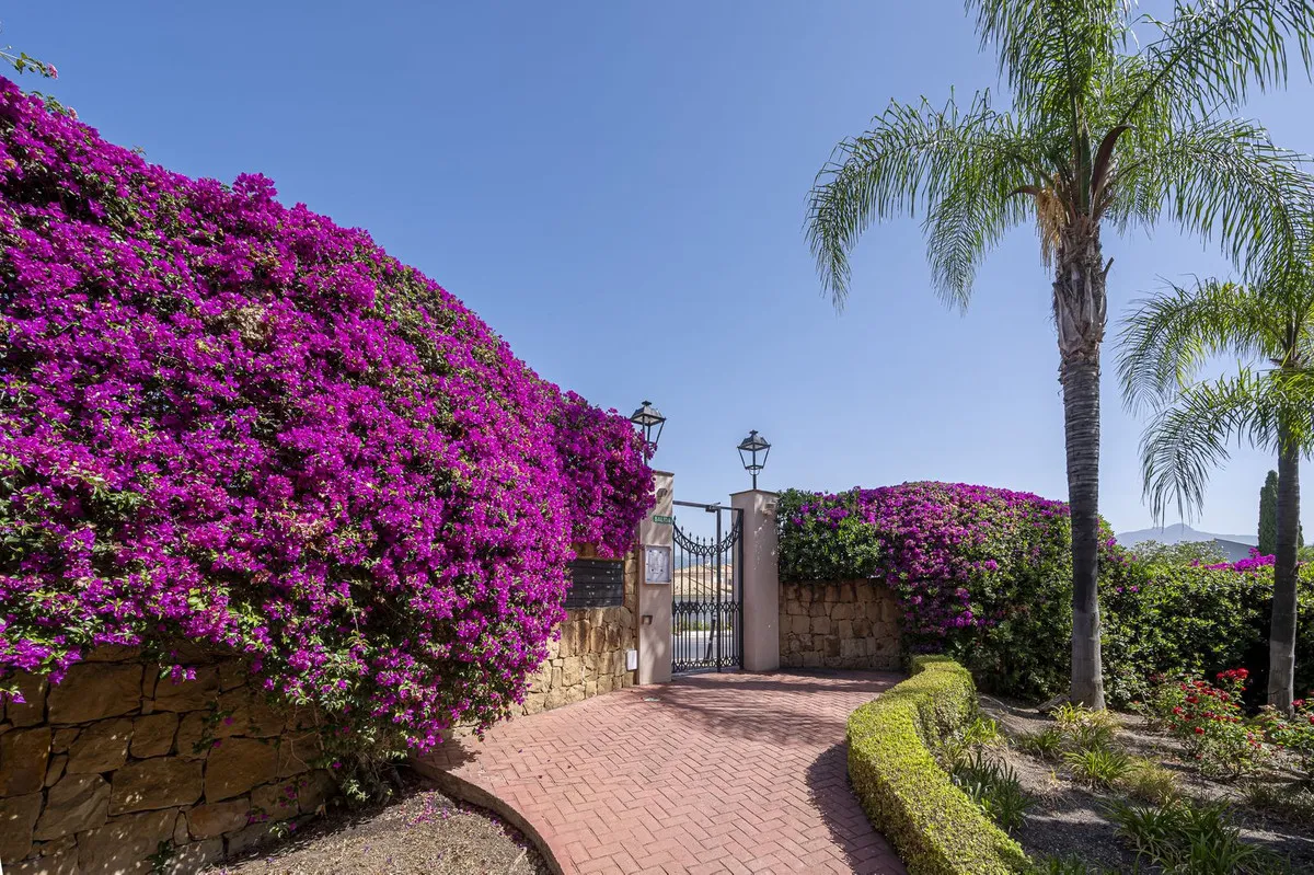 c3979a93-6af1-4c8d-9fdc-d24b8771d251