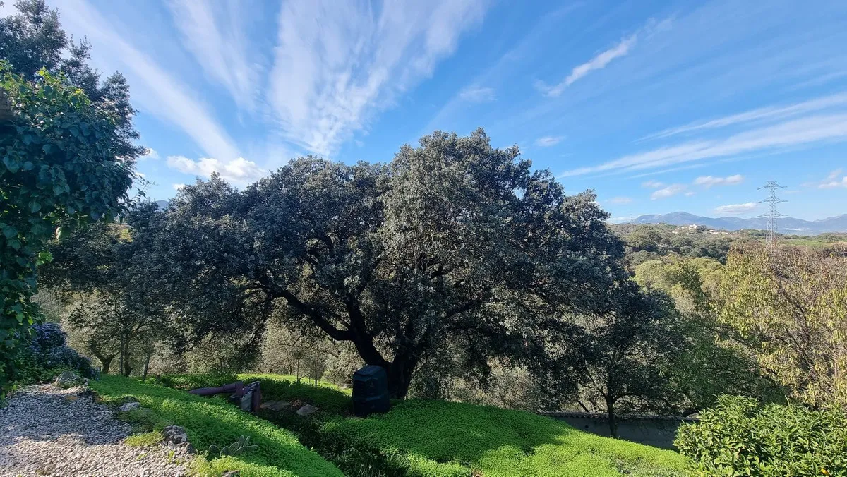 5f58adca-6be7-496e-8257-5fb38c2a6b30