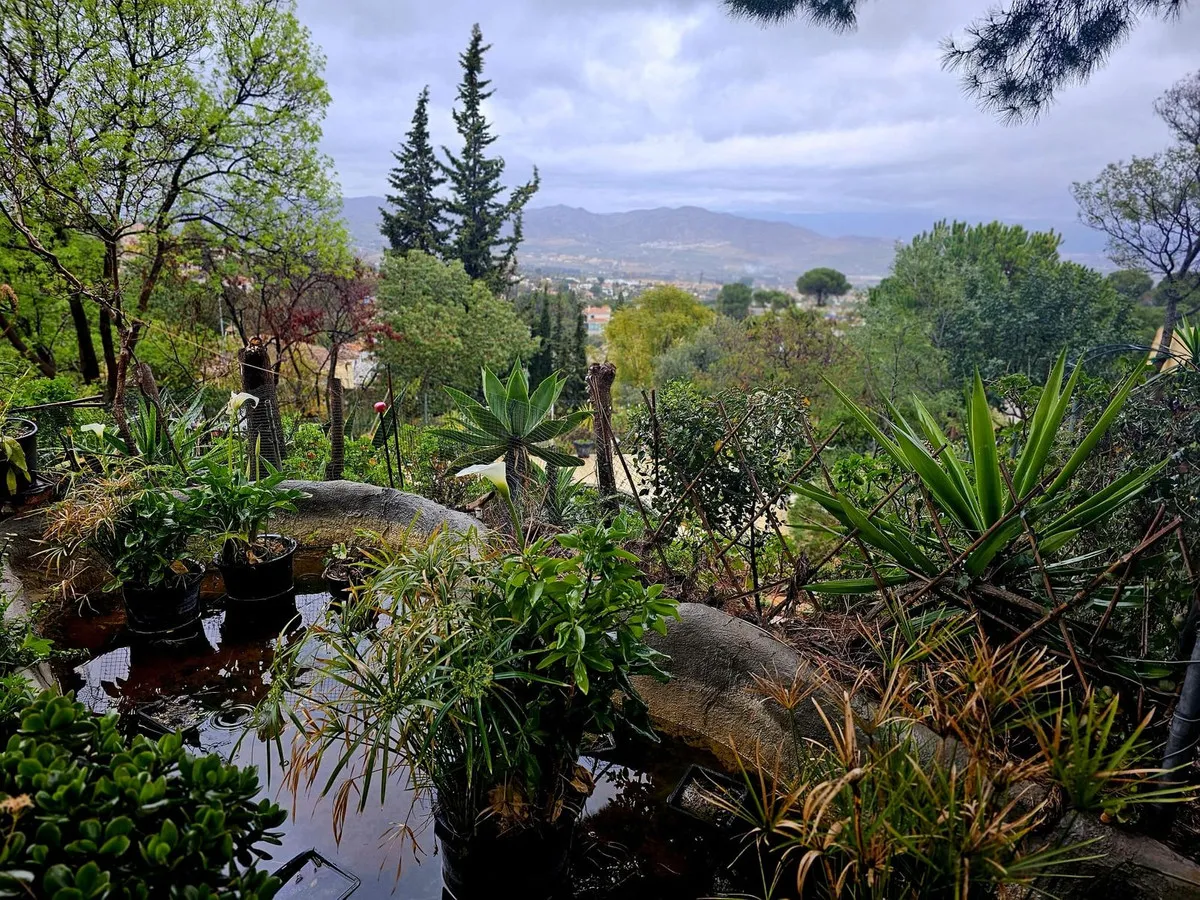 26ee5a40-f153-4b26-a59b-90cccf61bf6a