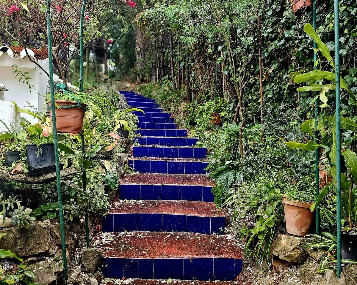 43827502-d6a7-4fcc-b77e-e2c533354878