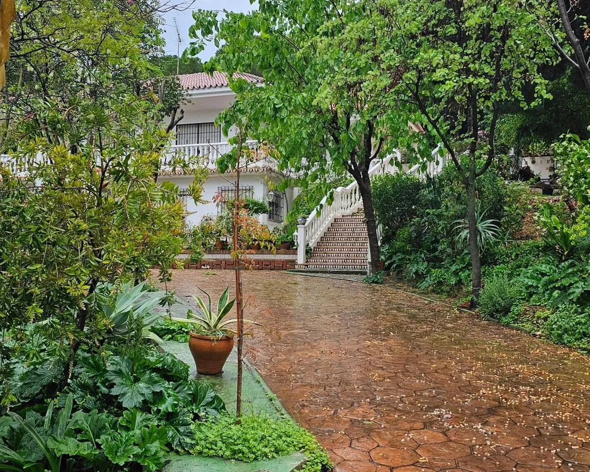 4c5c09fc-029f-47a8-87d9-e137643dc038