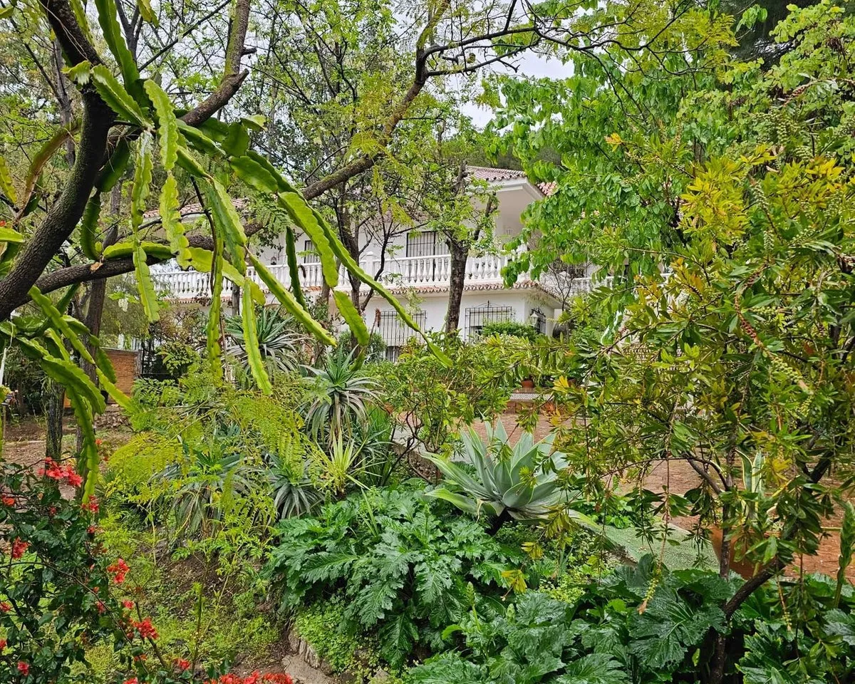 621176ba-e8aa-4816-91b2-2ac285a9aeec