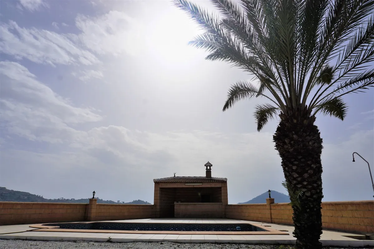 24ad07fe-54c6-4cda-9f3d-c57e9709f054