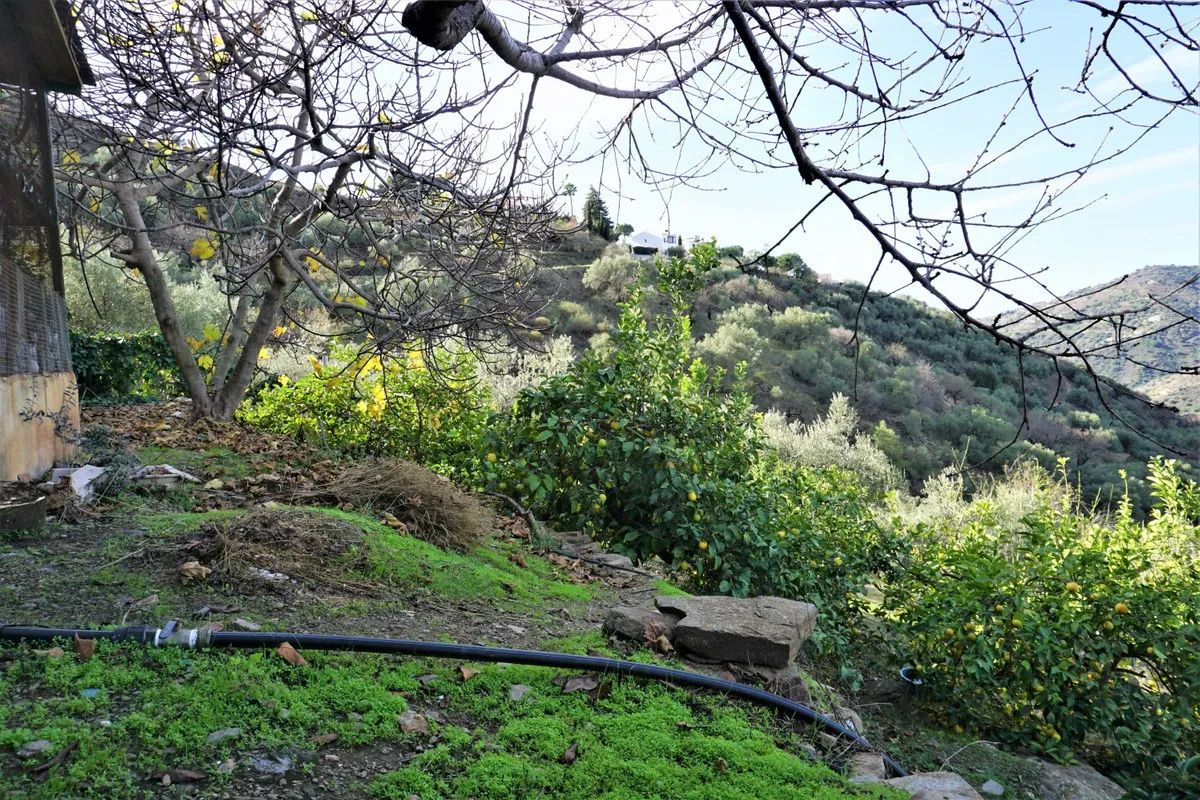 55a38436-6c70-43c3-b4f0-ae98fe74599e