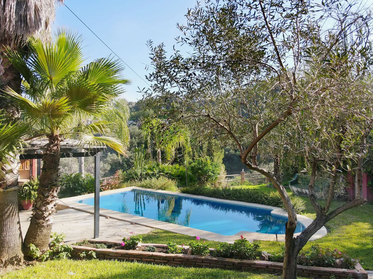 77f62296-70c1-4e11-a301-76925f09bc21