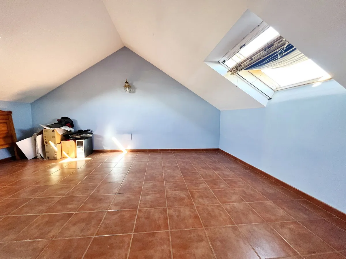 4146831d-3d99-441c-b3e6-ad6cd50efc35