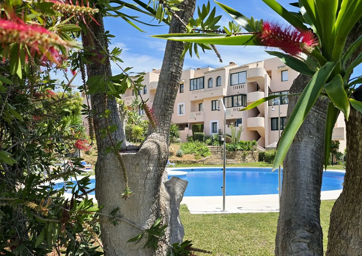 b0b91f24-1b39-4095-a8a5-2cfb4e97cf71