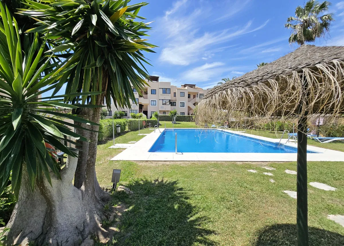 bd5b1565-e6b2-401a-af8e-e20afdf8d9e3