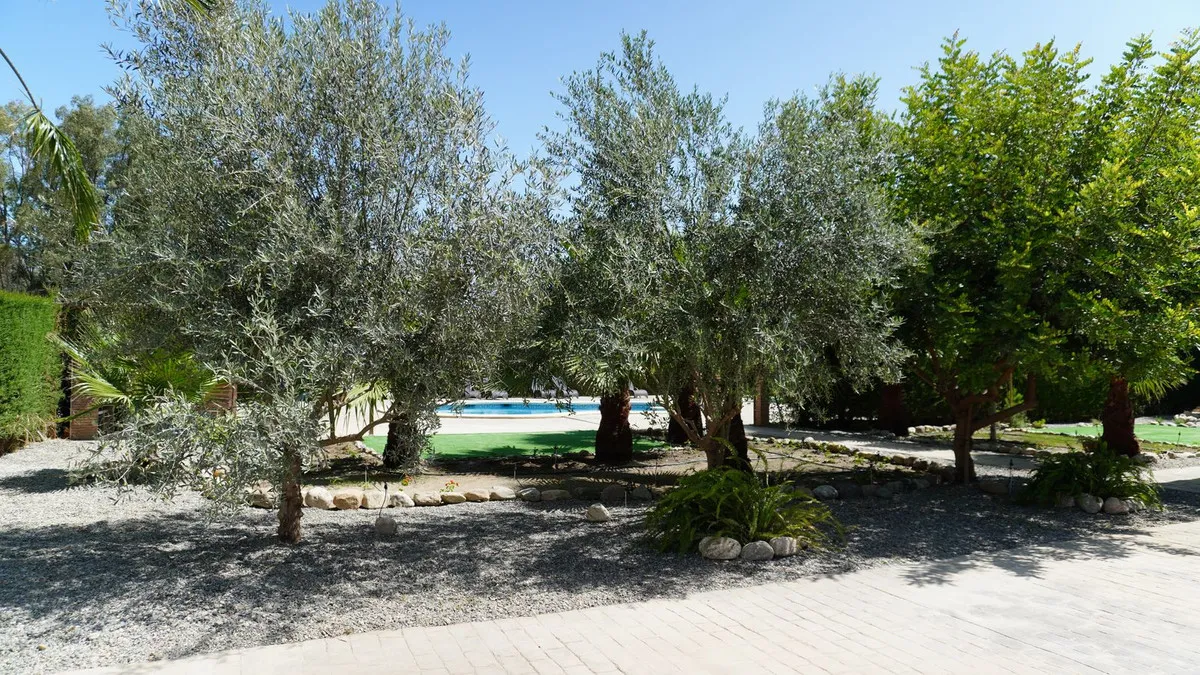 256f65de-c8fa-4b05-b84e-c221dadaa3f1