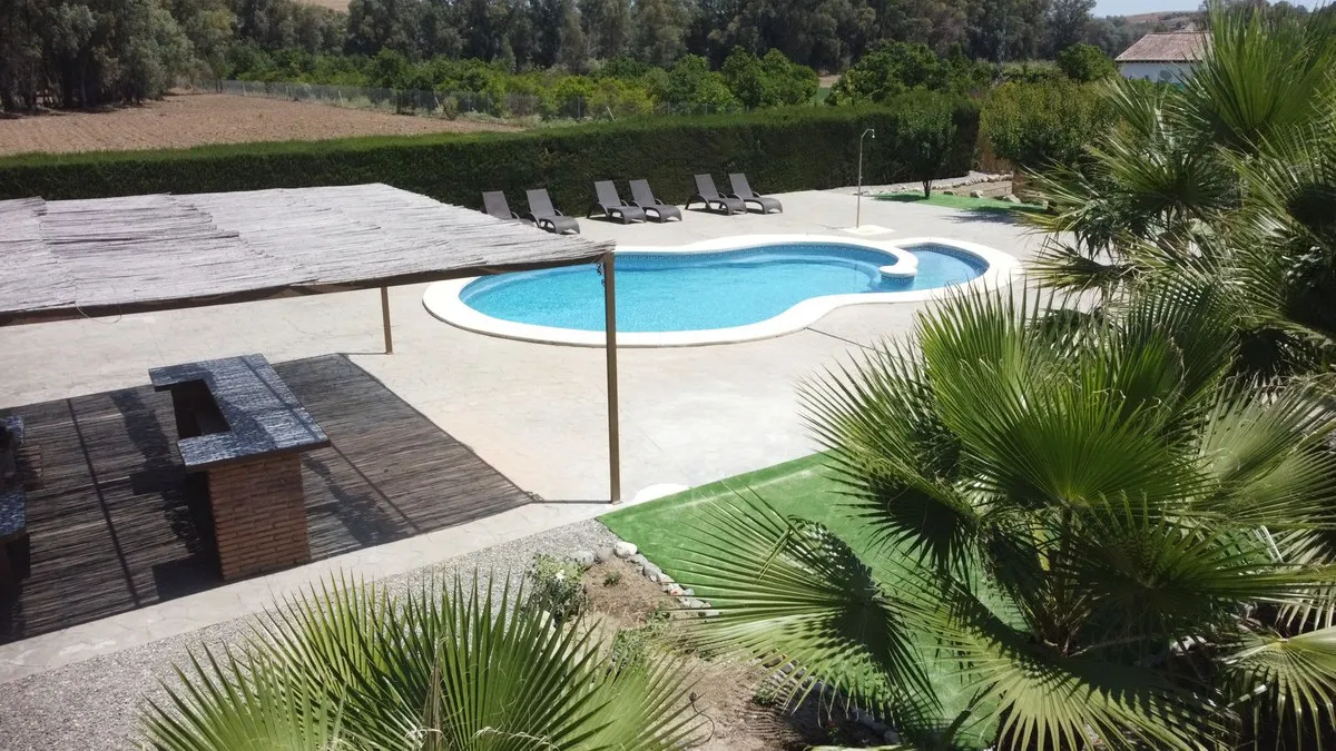 453e29e3-e6a7-414d-a579-3e18e85d28f1