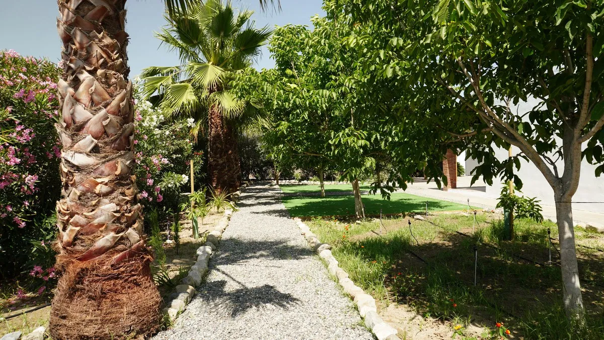 97664773-431c-4fa6-910f-154aae62120b