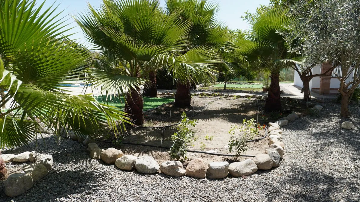 f7cc6aae-1776-45b3-8918-70701141a900