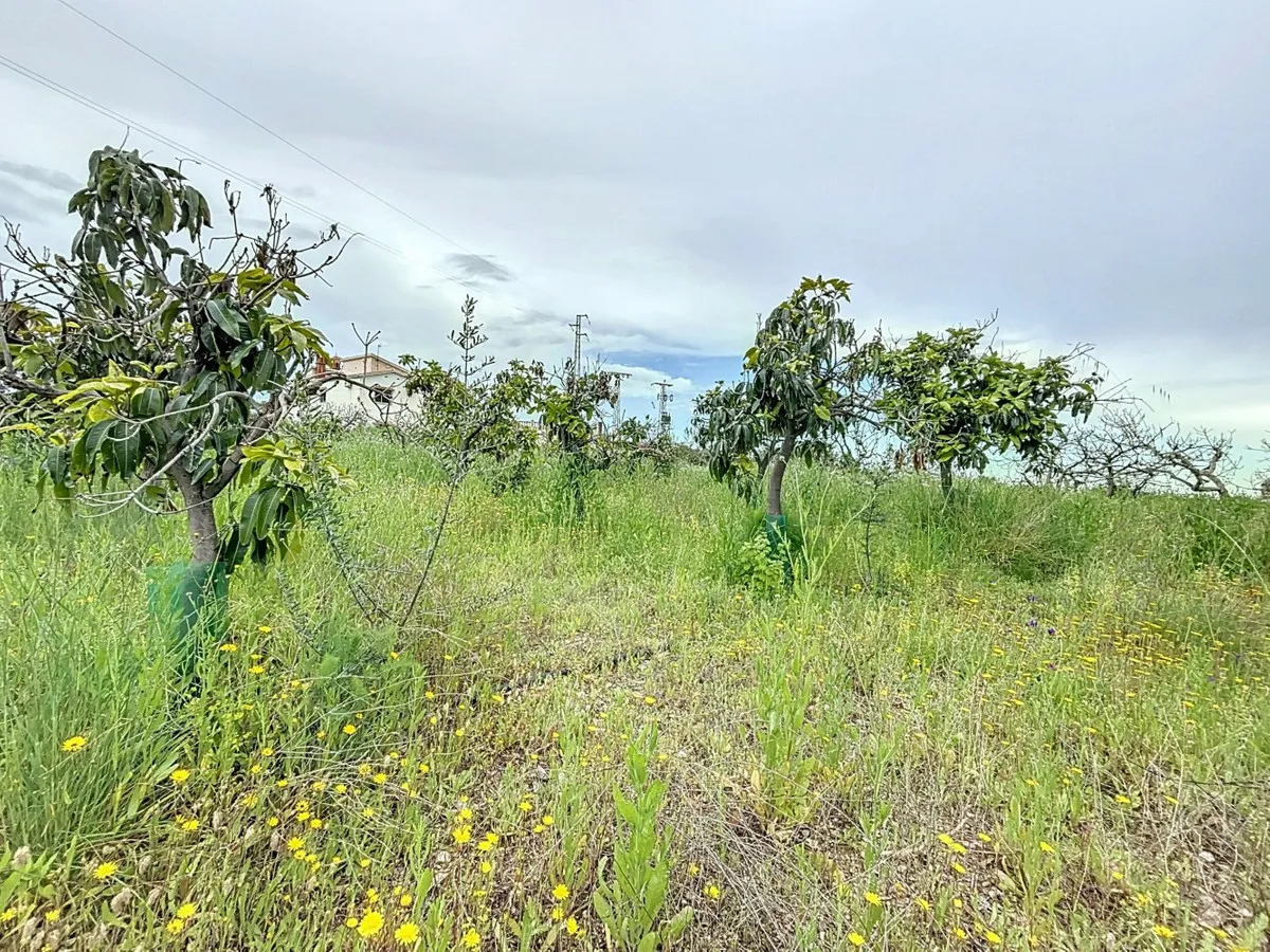 1b42f3ec-e88c-4df8-8023-9b78ee30662d