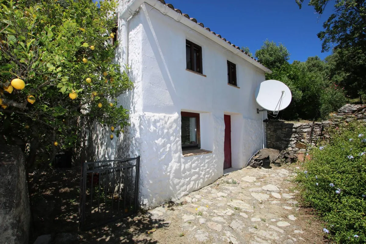 275e1b45-c968-4fd5-b560-1163bc08ba87