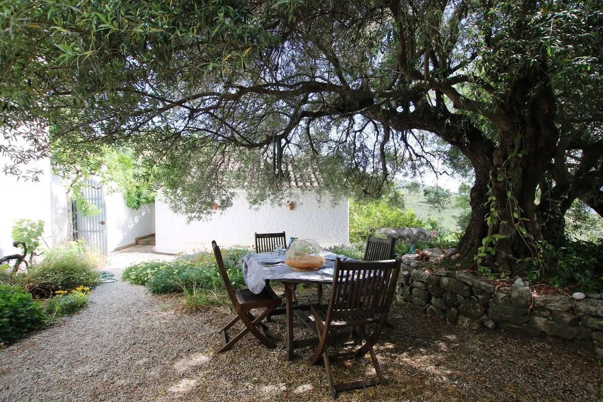 324cc126-7b43-4cd6-bf42-5857b1d2b8eb