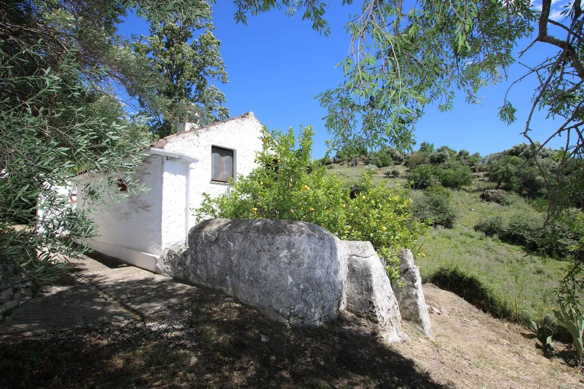 501b46ac-ed2c-4719-8ae3-0982b7ec4a96