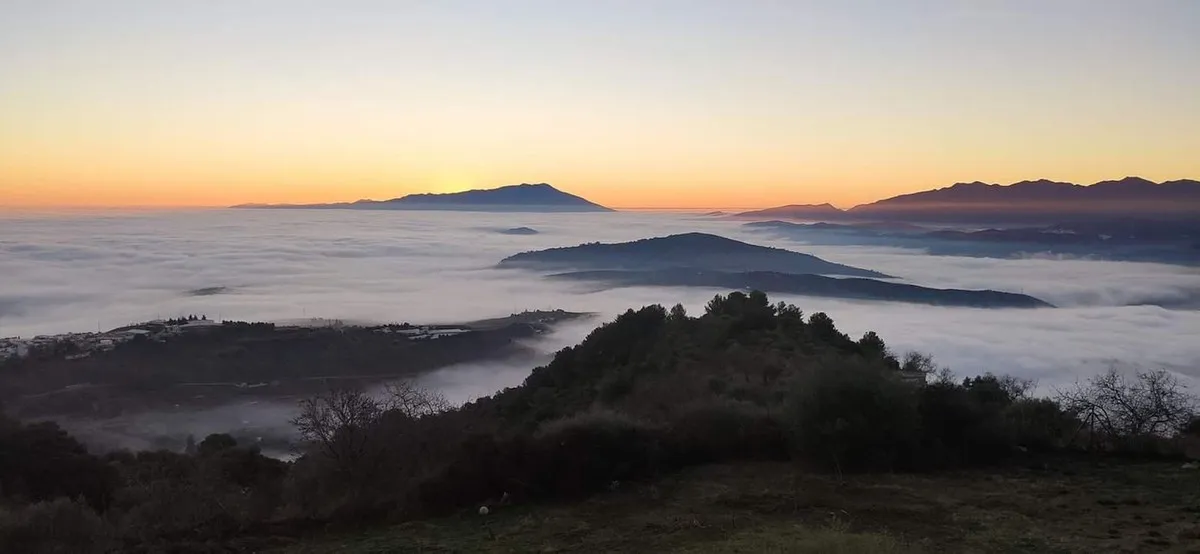 0b395732-f560-4851-9450-573877f8c1d3