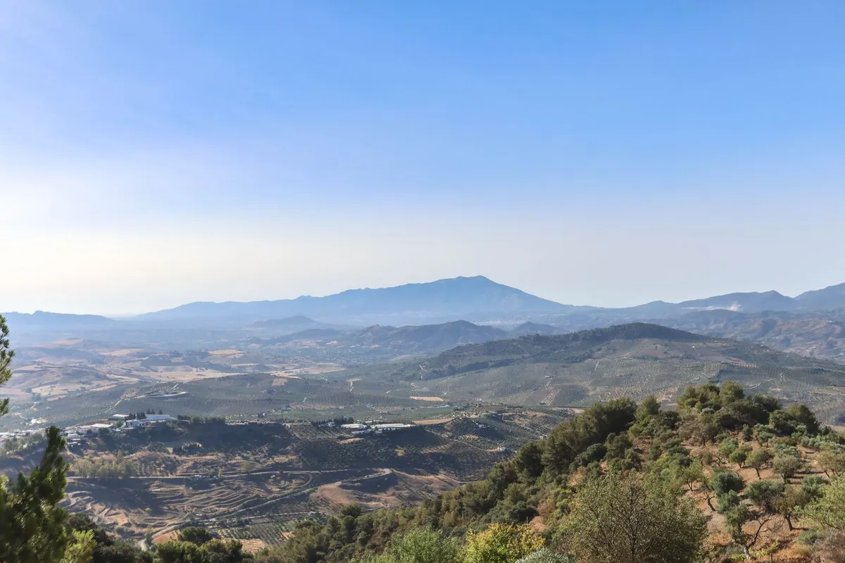 21b5361f-193b-480e-97a8-caac2451cb3c