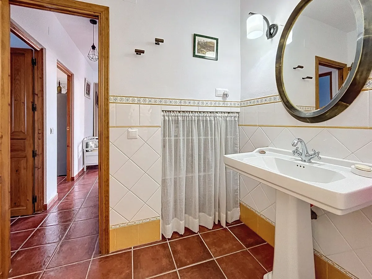 01d5e876-d766-4b51-a161-a5b864ea0b5e