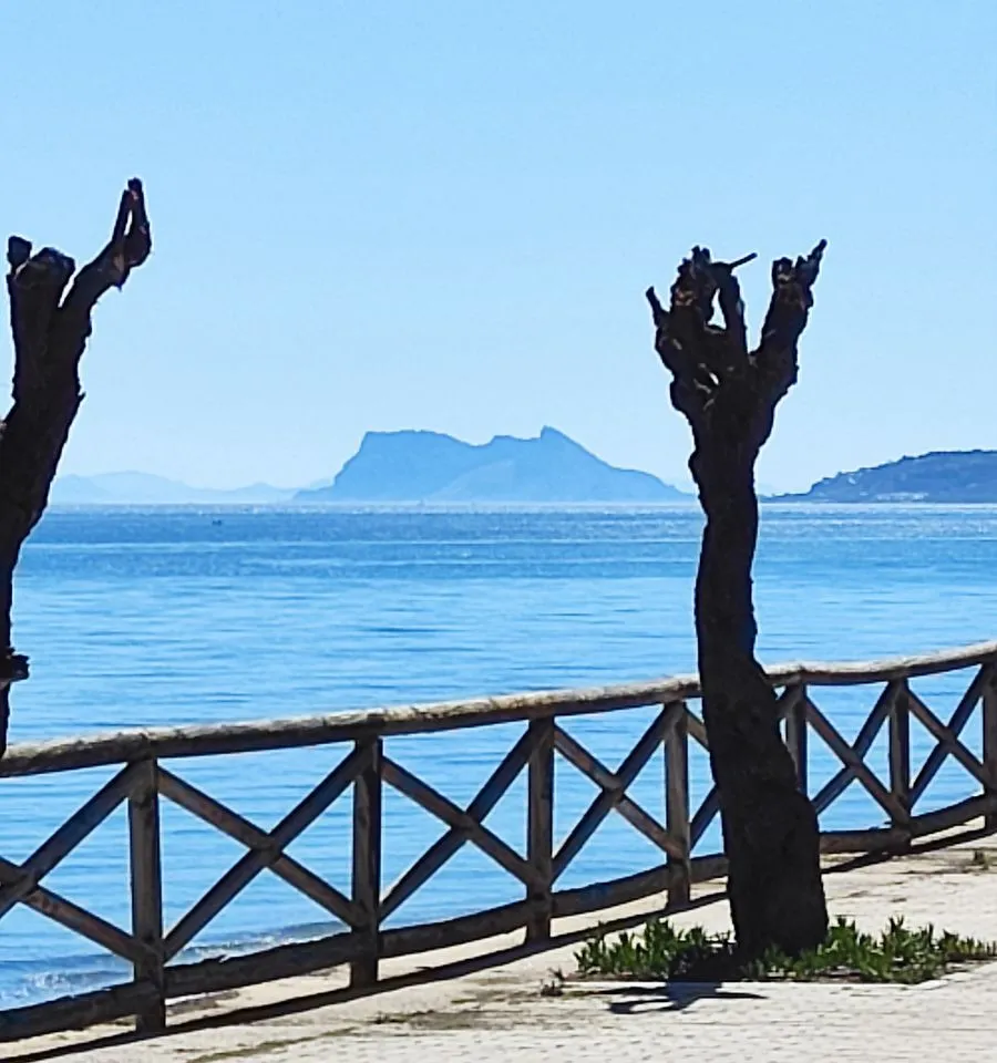 0789ff31-286c-44ab-8f15-80f15dbec989