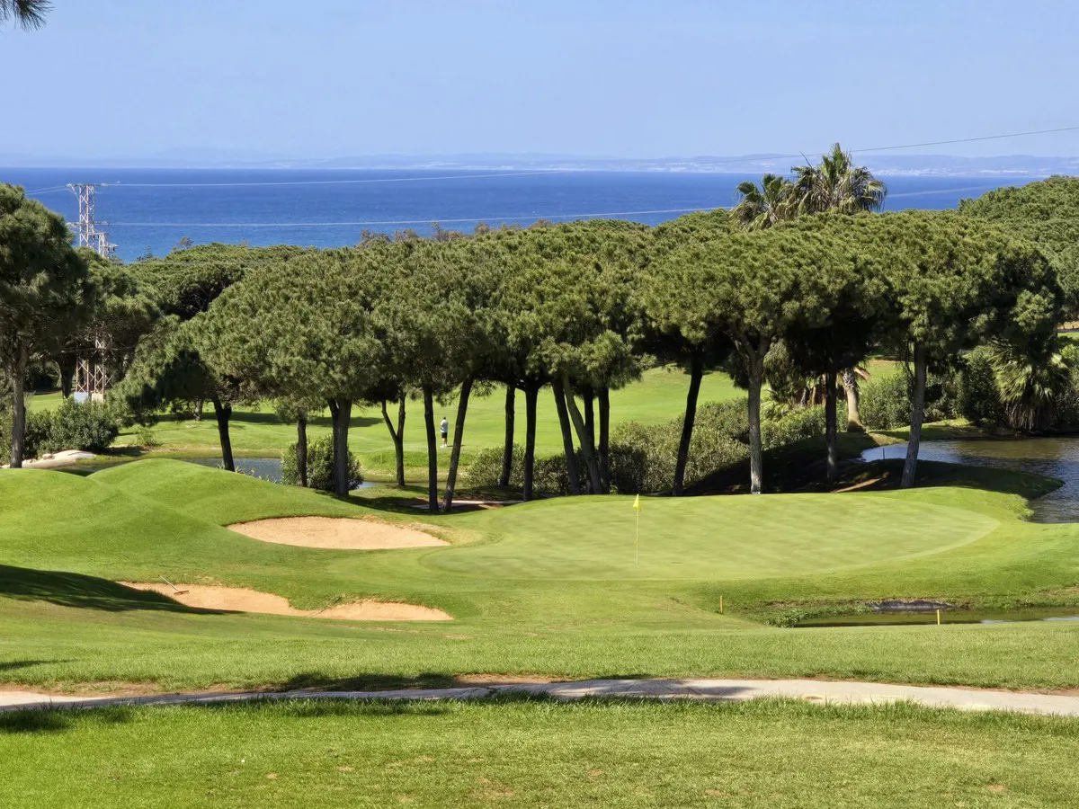 68b625e8-2e11-40c9-b24f-31ee8b4db219