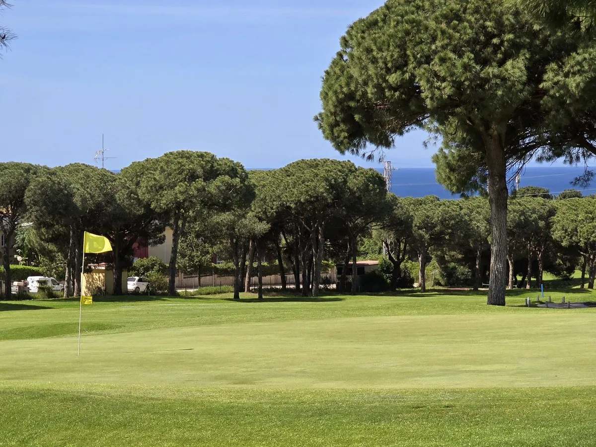 bb09ab85-dd12-4d3d-81e4-694a92ddc4d5