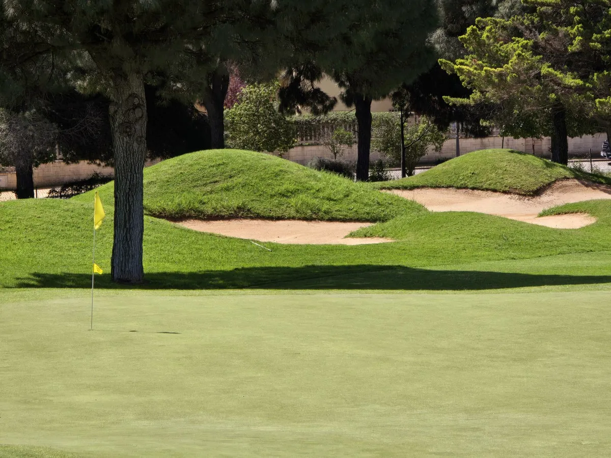 bdcd3538-1880-4594-95f1-a1193750432d