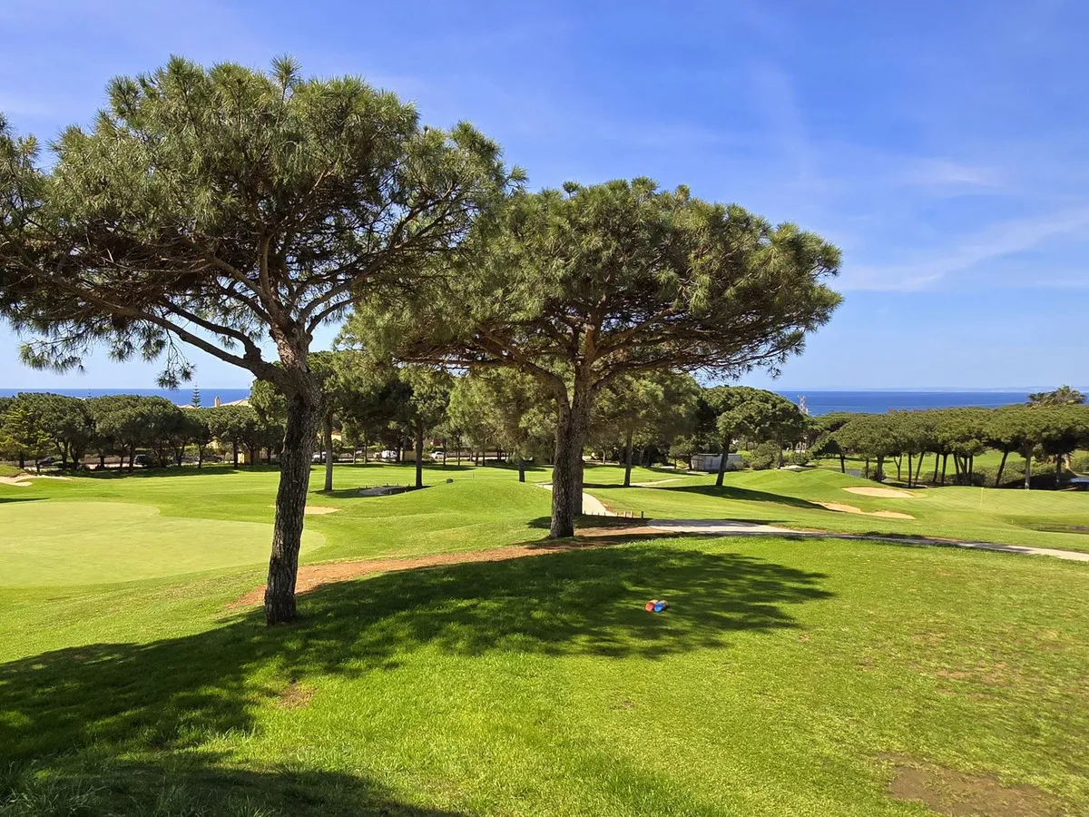 d19b9208-0dc2-4732-a36f-5b428211c086