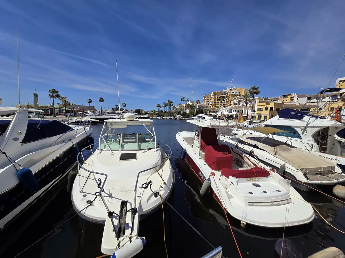 e834a354-e1d9-4216-bea9-adcb3ce95adc