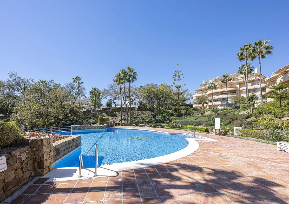 e11fc497-9017-4a45-9e01-ea57354b6643