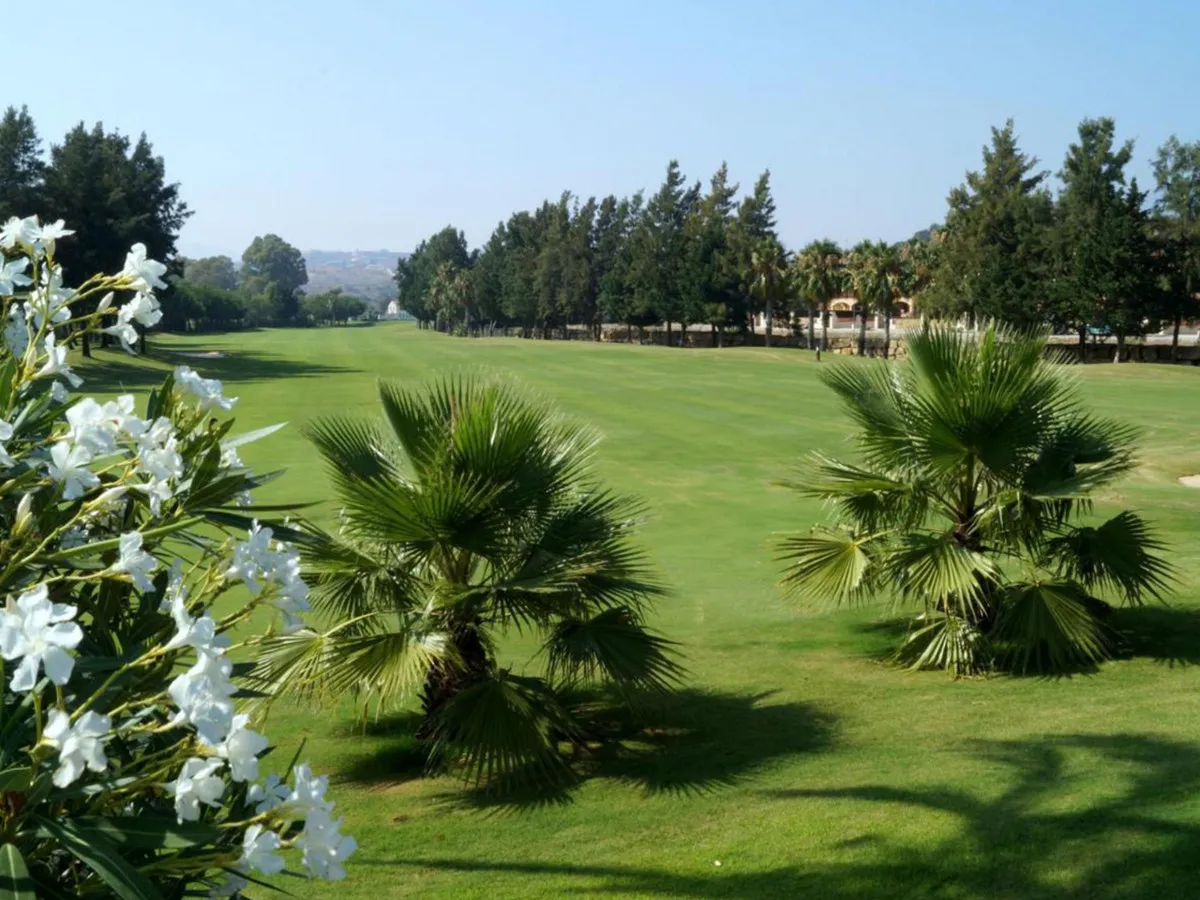 cf84a172-86b4-4f92-87c4-3965f15d38a7