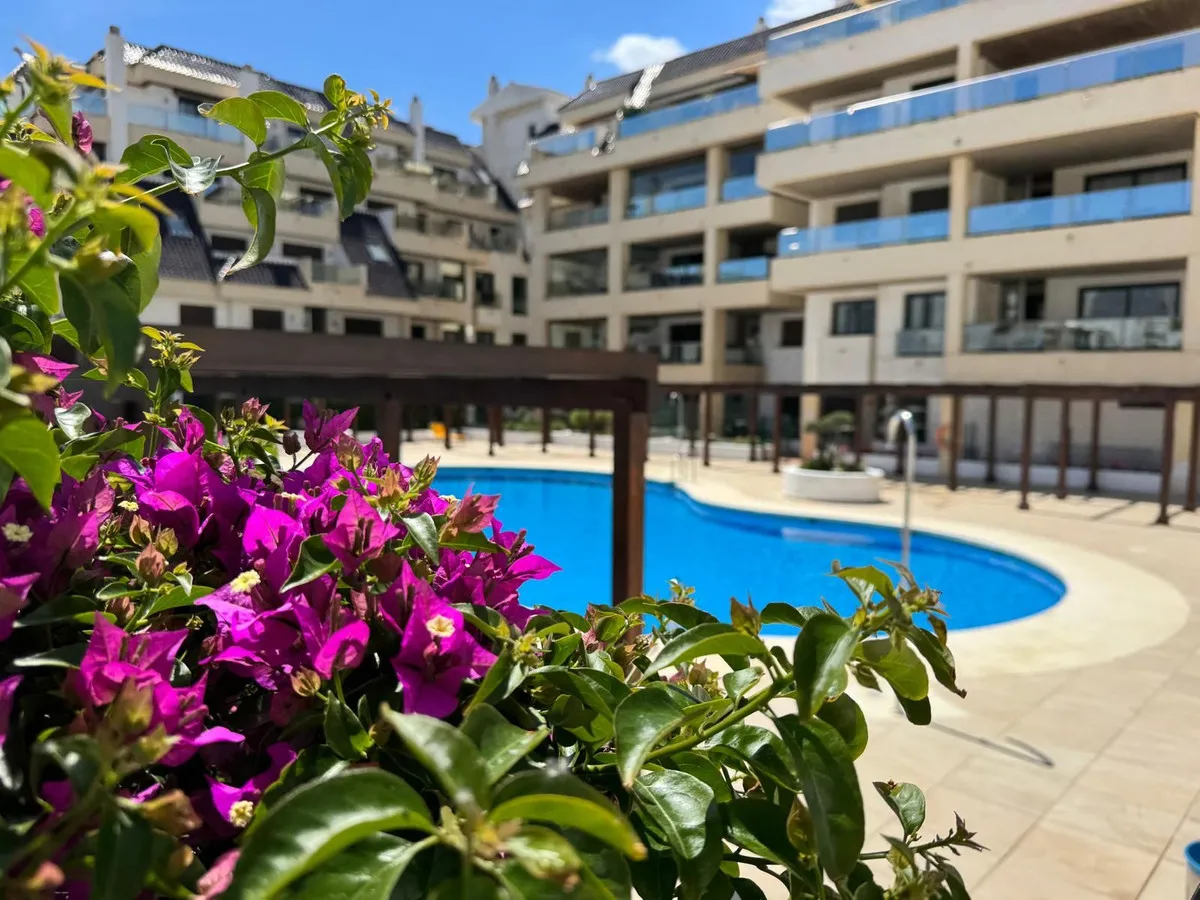 bcddf3d3-033f-40fc-999c-a48577ad2386