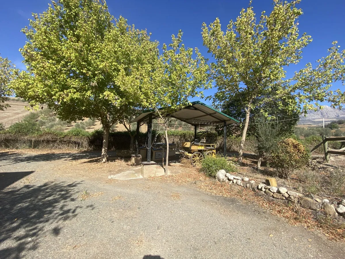 06ba28ab-56a2-4394-82fe-114ef44f00b3