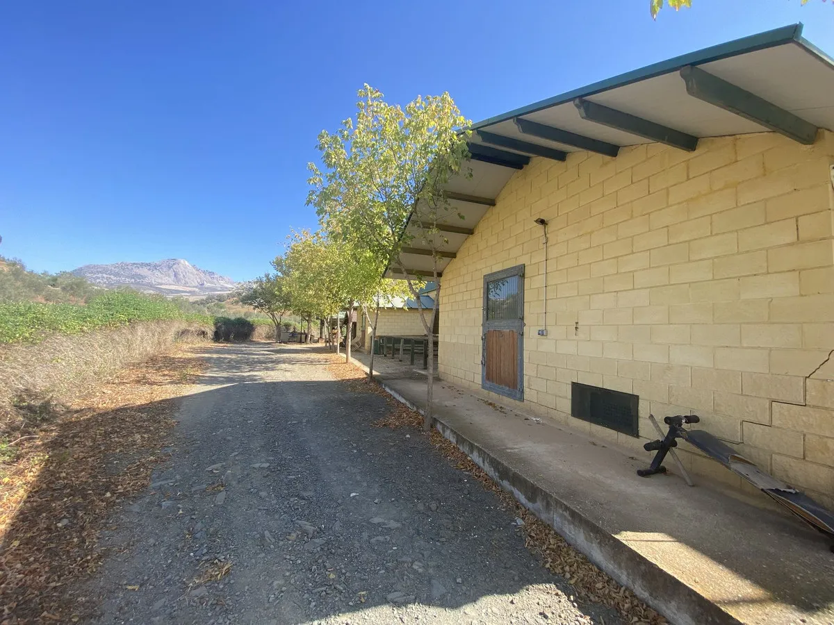 22cb2c05-800f-4e36-ab81-21b3918184c7