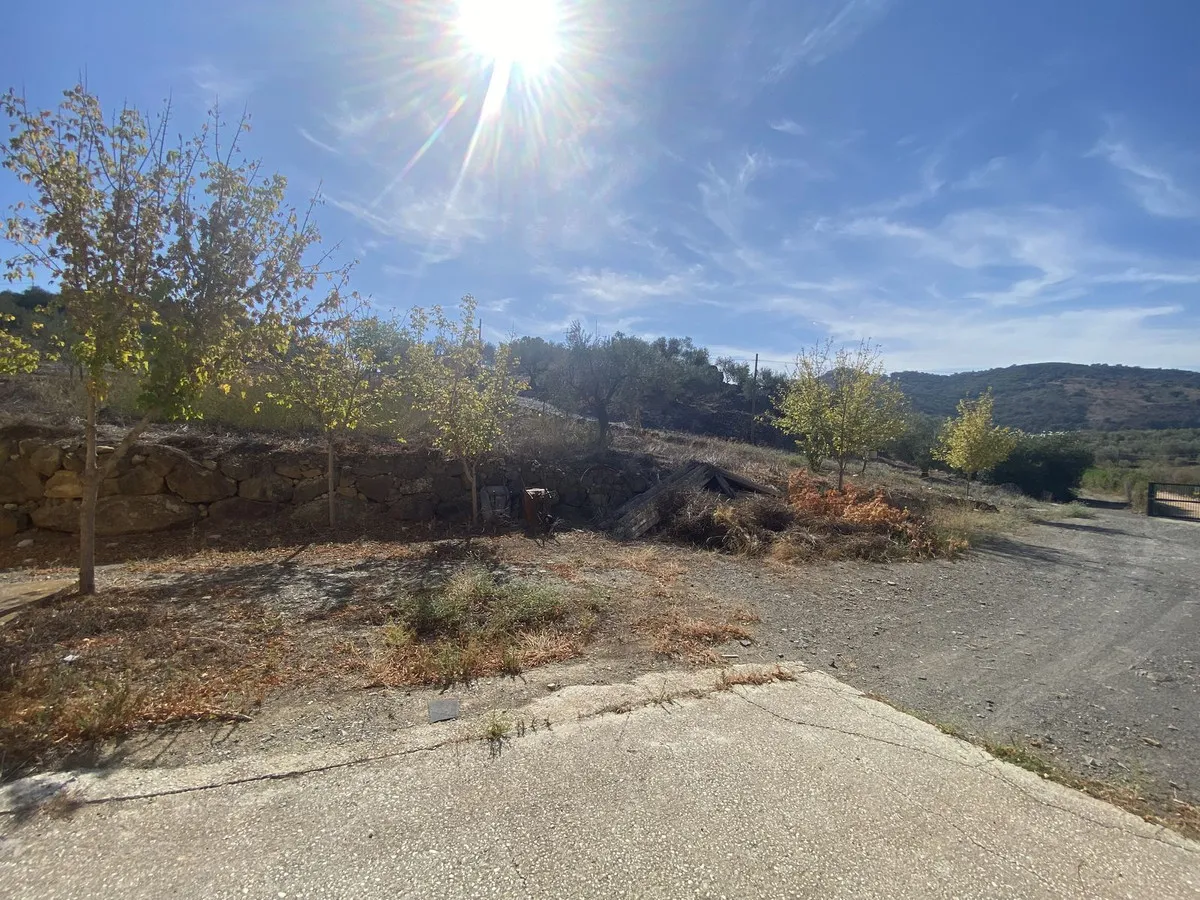 28874e10-dfe8-44cf-8894-5149a43ef441